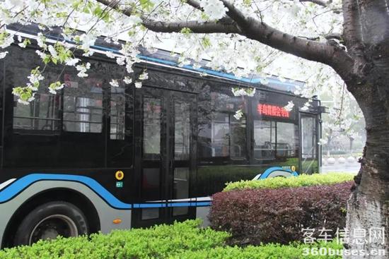 1626055610817083.jpg c17.jpg