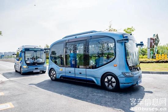 1626403392911150.jpg d12.jpg