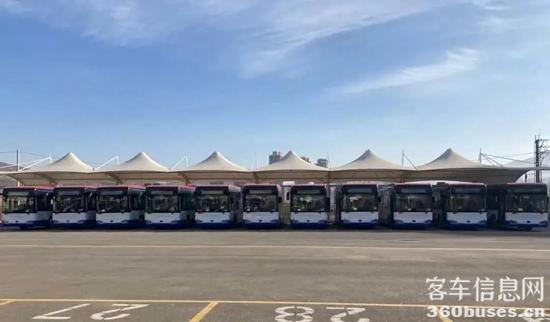 1626762398955240.jpg 金龍1-1.jpg