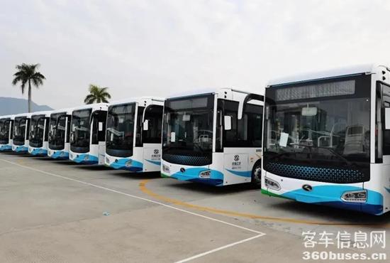 1626762531108525.jpg 金龍3-1.jpg