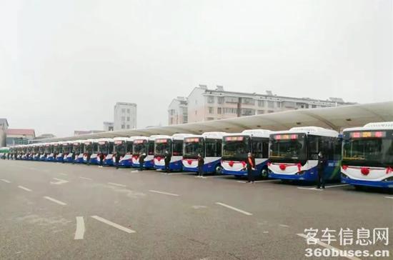 1626762767595302.jpg 海格1-1.jpg