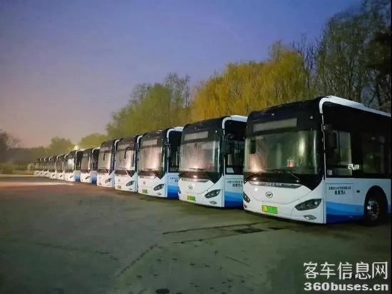 1626762812720501.jpg 海格2-1.jpg