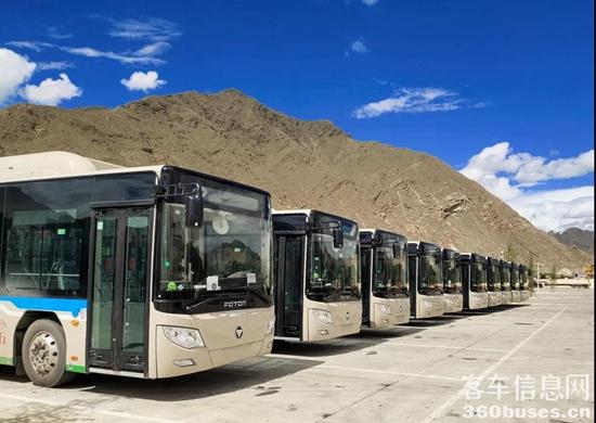 1626831146994206.jpg d3.jpg