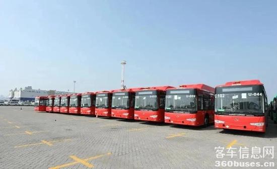 1626850393522987.jpg 166輛金龍?zhí)烊粴夤卉囋俅芜h(yuǎn)航墨西哥.jpg