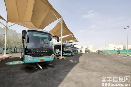 1627607273842932.jpg 10.jpg