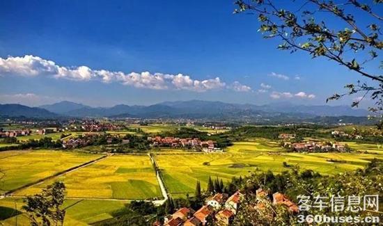 1627869431449617.jpg 5.jpg