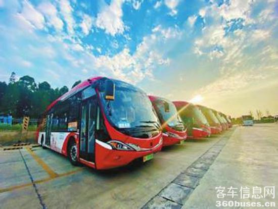 1628648013555150.jpg 1000.jpg