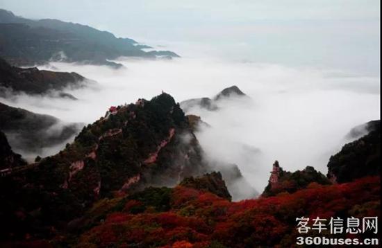 1629080061324471.jpg 3.jpg