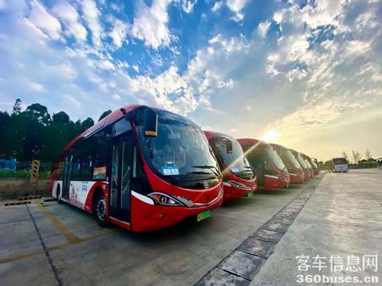 1629942562400500.jpg e1.jpg