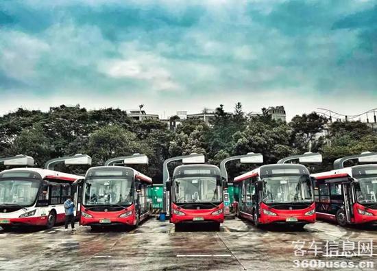 1629942622470671.jpg e4.jpg