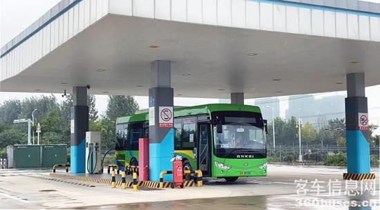 1630630668205723.jpg b4.jpg