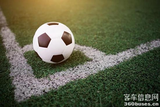 1631065262487656.jpg a10.jpg