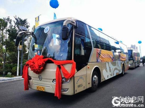 1631236985920892.jpg 2.jpg