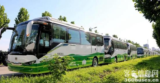 1631497823880692.jpg 2.jpg