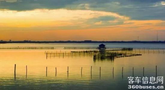 1632276881752628.jpg 1.jpg