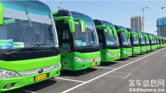 1632636324622825.jpg 2.jpg