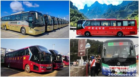 1633924493344966.jpg 5.jpg