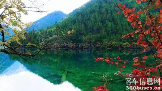 1634261958558442.jpg 1.jpg