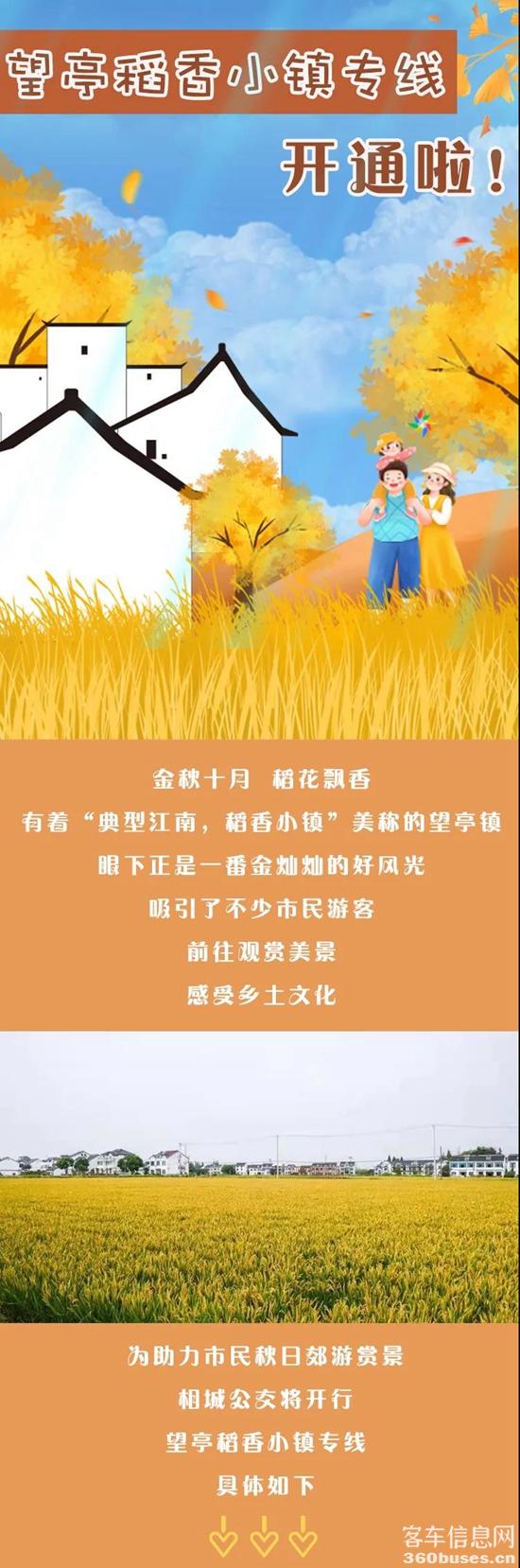 1635389329570134.jpg 1.jpg