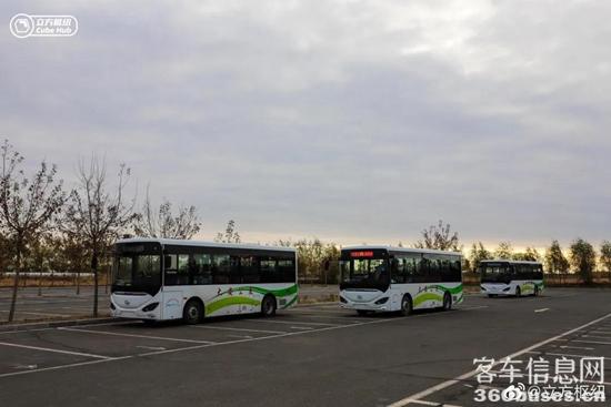 1635730387436506.jpg 3.jpg