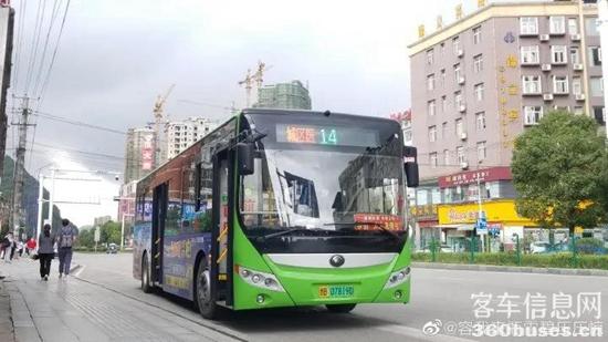 1635735639982556.jpg 7.jpg