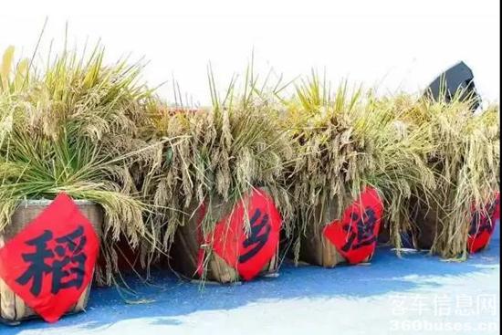 1636941206702420.jpg 1.jpg