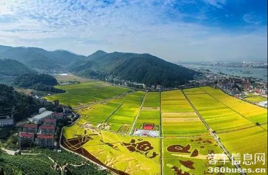 1636941222772247.jpg 2.jpg