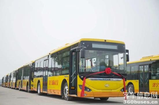 1637546725693251.jpg 7.jpg