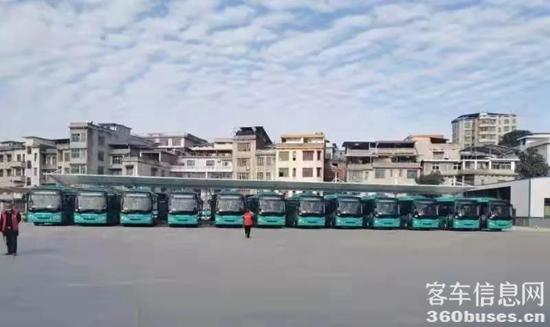 1638495497493834.jpg 6.jpg