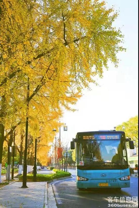 1639360738527892.jpg 1.jpg