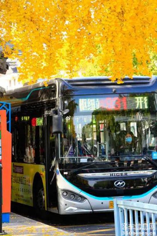 1639360839610955.jpg 3.jpg