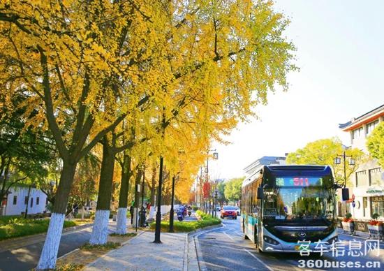 1639360952478258.jpg 8.jpg