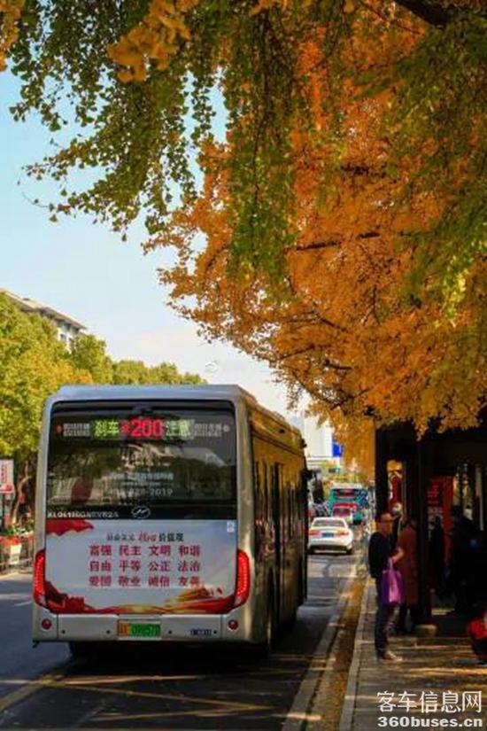 1639361034905674.jpg 11.jpg