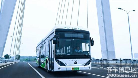 1639364071563195.jpg 10.jpg