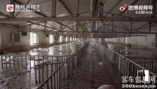 1639970526147344.jpg 9.jpg