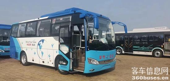 1640323731967055.jpg 4.jpg