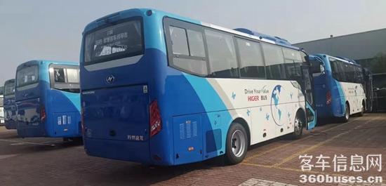 1640323741959727.jpg 5.jpg