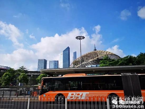 1641347463596139.jpg 2.jpg