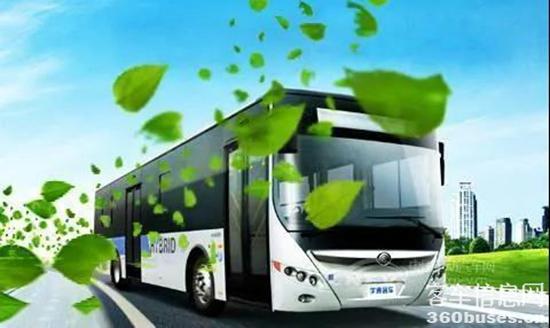 1641517909606015.jpg 7.jpg