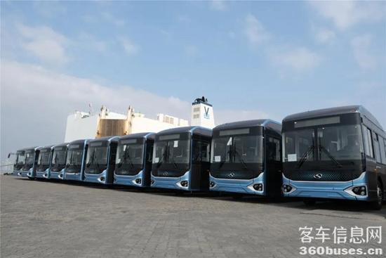 1641951787338603.jpg 4.jpg