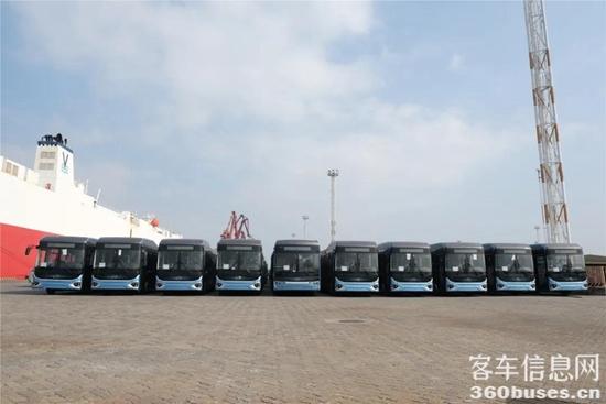 1641951794442328.jpg 5.jpg