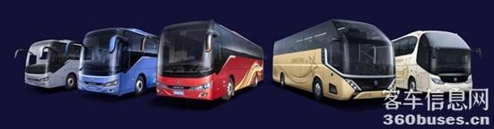 1642995537440325.jpg 2.jpg