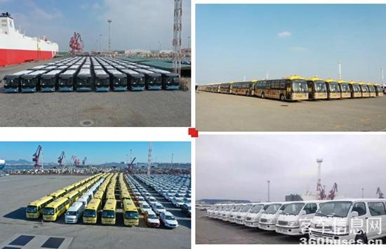 1643003894210160.jpg 4.jpg