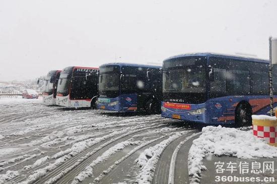 1644285019738172.jpg 7.jpg