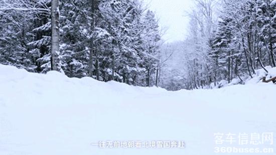 1644980707509217.jpg 9.jpg