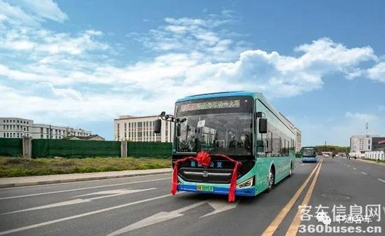 1645495205398008.jpg 24.jpg