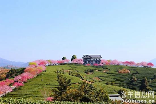 1646618052687968.jpg 1.jpg