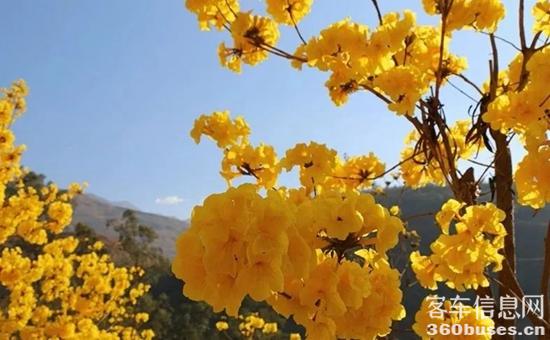 1646618066370270.jpg 2.jpg