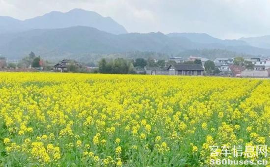 1646618091457107.jpg 3.jpg