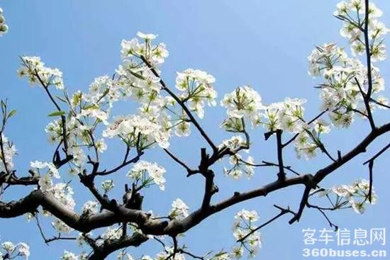 1646618113235861.jpg 4.jpg